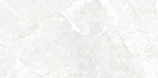 Dallas Плитка настенная светло-серый (DAL521D) 29,8x59,8